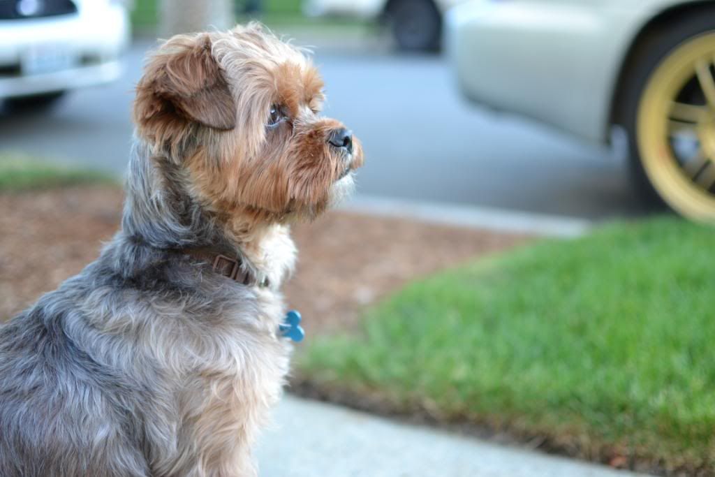 DSC_0013.jpg