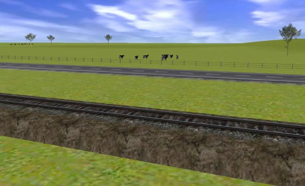 Cowsgrazing.jpg