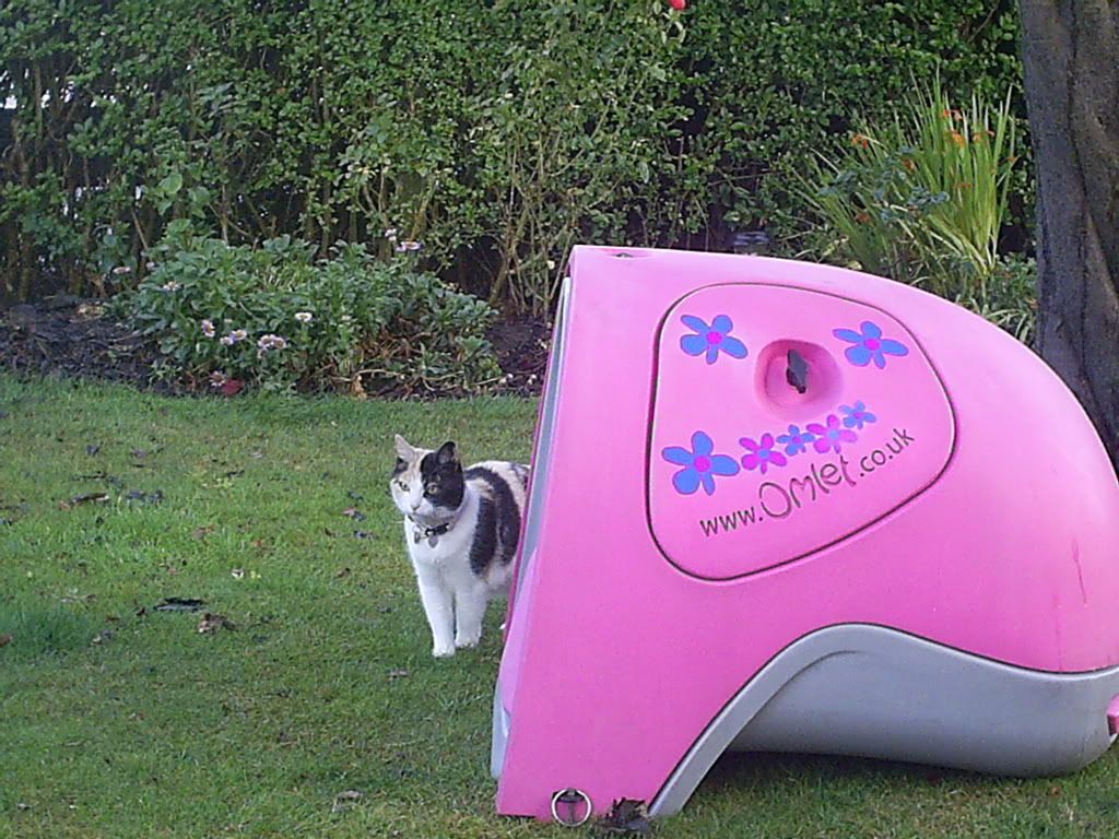 PIC_0272.jpg?t=1281640608