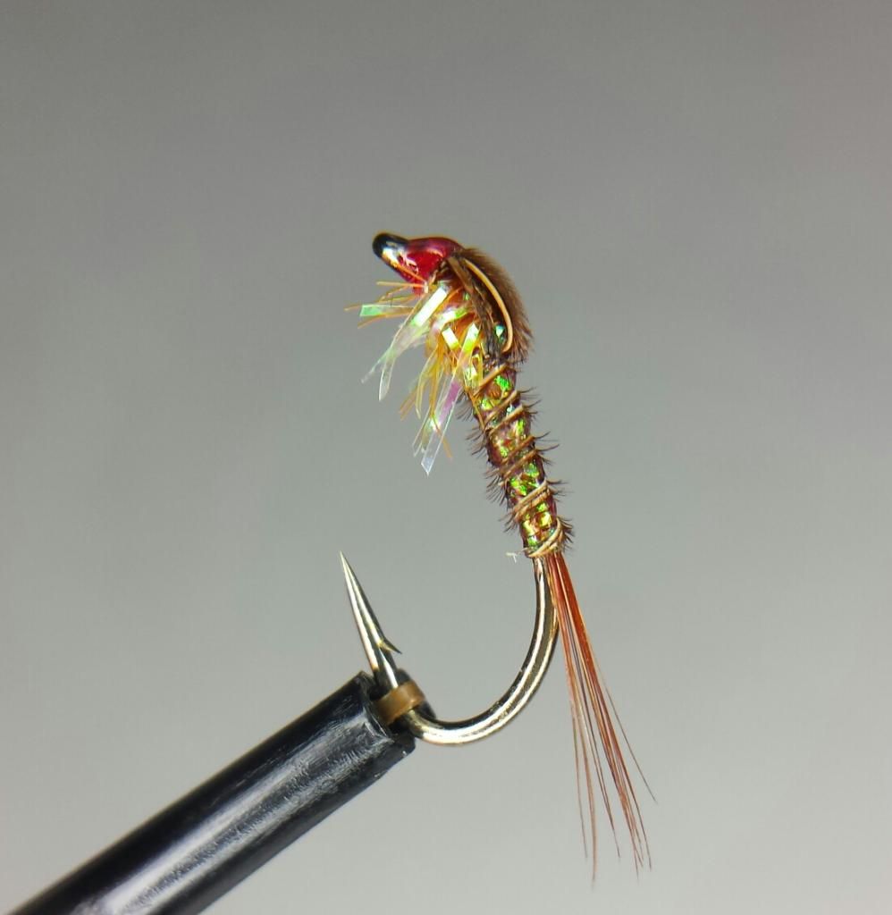 Fronz nymphs.  Fly Fishing Forum