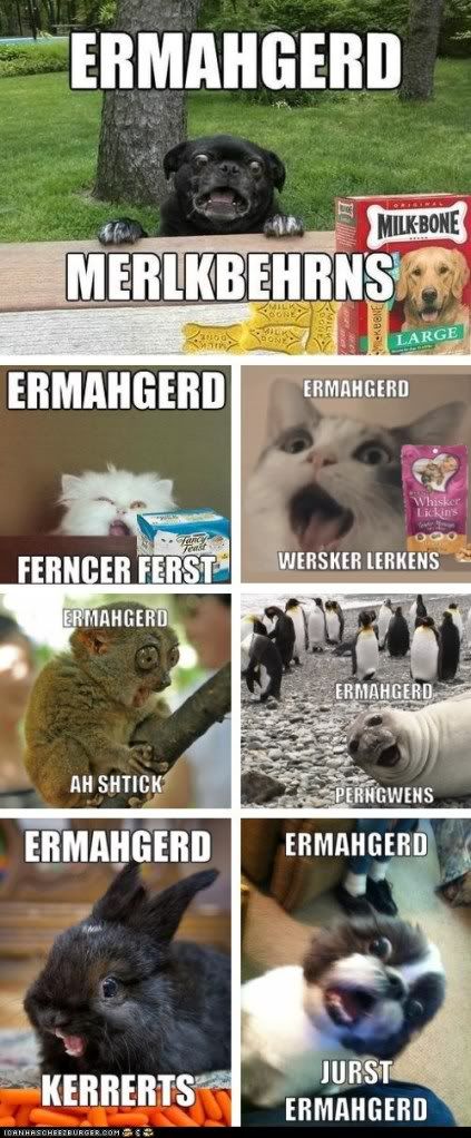 advice-animals-memes-animal-memes-ermahgerd-erll-the-ernuhmurls.jpg