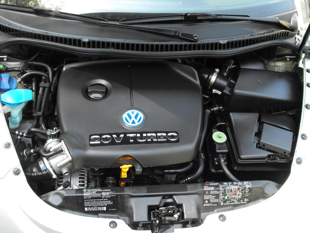 vw010.jpg