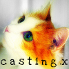 c a s t i n g .x Avatar