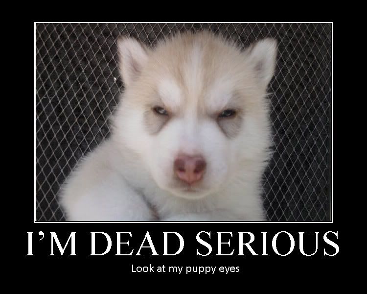 Forum Image: http://i777.photobucket.com/albums/yy57/rokushou/ROCKS/immadeadserious-aya.jpg