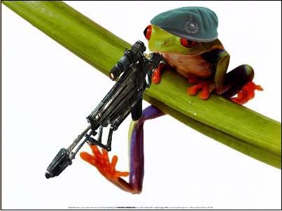 FrogSniper.jpg?t=1270004053