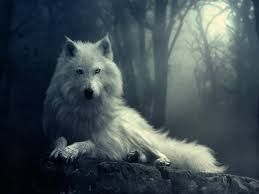 http://i777.photobucket.com/albums/yy59/keeby34/Mobile%20Uploads/images_zpse324e1d3.jpeg