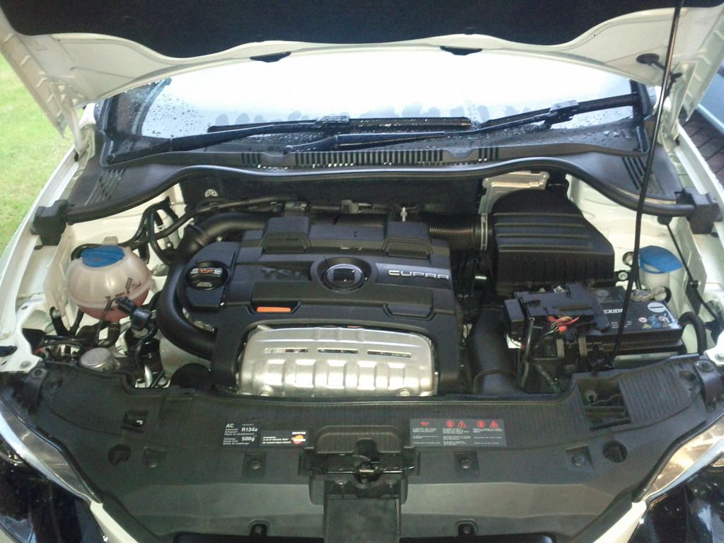 IMG_20120731_202855.jpg