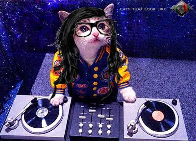 http://i777.photobucket.com/albums/yy60/mrbernz05/skrillex_kitty.jpg