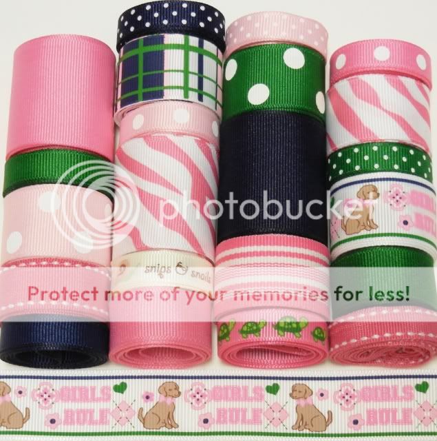 22 Yard MTMG M2MG Girls Rule Pink and Green Grosgrain Ribbon Lot