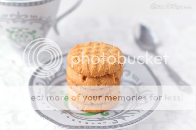 &#1040;&#1088;&#1072;&#1093;&#1080;&#1089;&#1086;&#1074;&#1086;&#1077; &#1087;&#1077;&#1095;&#1077;&#1085;&#1100;&#1077;