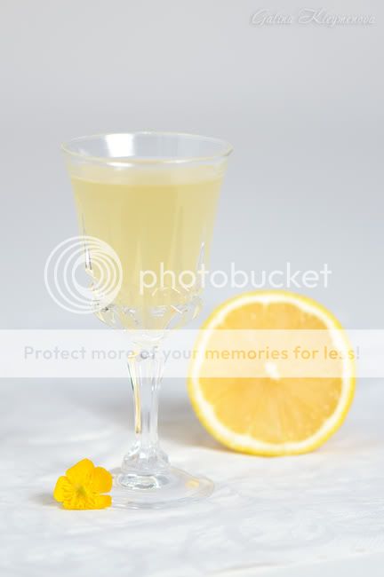 &#1051;&#1080;&#1084;&#1086;&#1085;&#1085;&#1099;&#1081; &#1083;&#1080;&#1082;&#1077;&#1088;