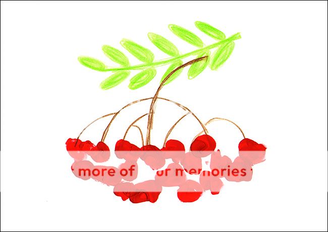 Виталькина рябинка