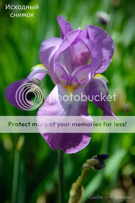 Исходный снимок