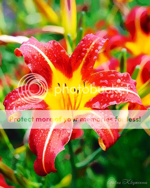 &#1055;&#1086;&#1089;&#1083;&#1077;