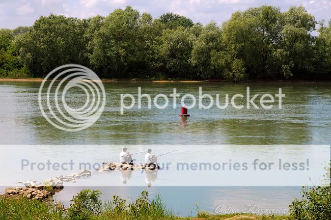 Кривые_После