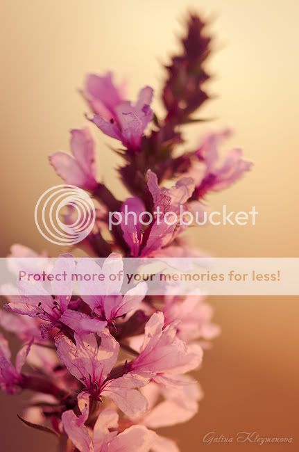 Исходный снимок