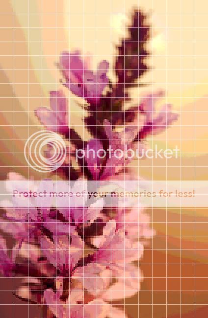 Схема для вышивки