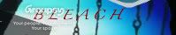 Bleach: Protectors Put to the Test banner